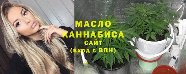 молекула духа Арсеньев